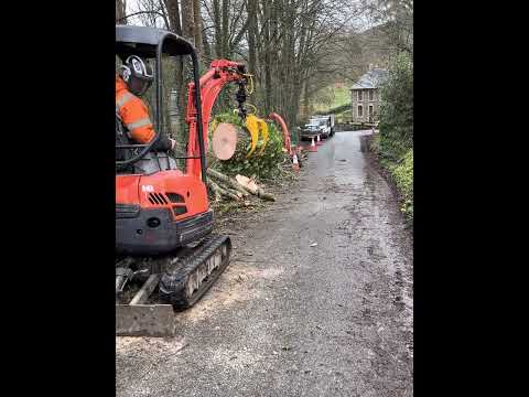 Tree removal with mini digger and grab. Kubota u17 log grab #fypシ #fyp #satisfying #arborist #tree