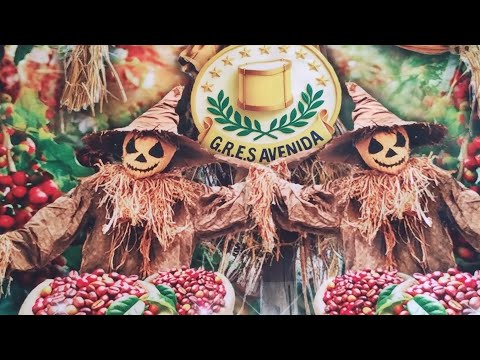 Carnaval de Brazópolis MG 2026 #Vai Avenida 