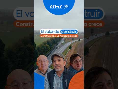 Vidas y turismo en riesgo: la ruta que La Araucanía necesita con urgencia