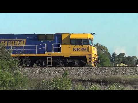 NR39+NR21+NR102=East Maitland