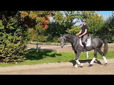 4j. Wall. v. Emilio Sanchez/Carry Gold