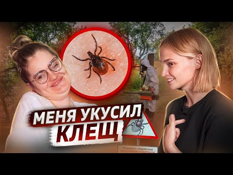 Меня укусил клещ | клещевой энцефалит