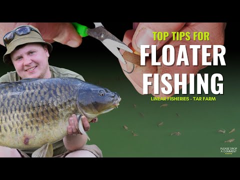 Catching Carp Off The Top - Surface Fishing Top Tips - Linear Fisheries