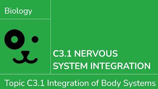 Download lagu C3.1 Nervous System Integration [IB Biology SL/HL] mp3
