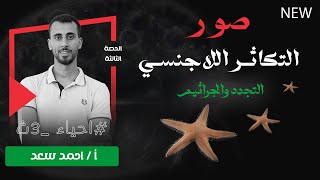 صور التكاثر اللاجنسي احياء 3ث الحصة الثالثة التجدد والتكاثر بالجراثيم