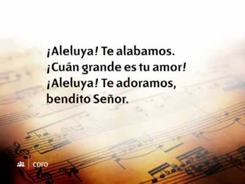 015   Loamoste, oh Dios wmv pista)(480p H 264 AAC)