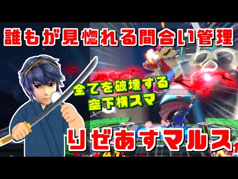 美しい間合い管理と驚異的な先端判定のヒット率 りぜあすマルス【スマブラSP/ハイライト】