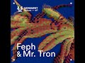 MNMT 417 : Feph & Mr. Tron