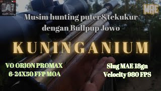 Download lagu Awal Musim Hujan ● Tekukur & Puter Melimpah Di Lahan Jagung mp3 Download lagu Awal Musim Hujan ● Tekukur & Puter Melimpah Di Lahan Jagung mp3