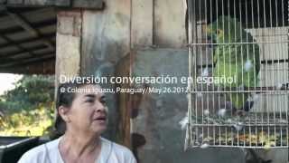 preview picture of video '旅する鈴木222:Diversión conversación en español @Paraguay'