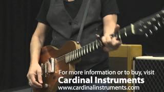 Cardinal Magpie guitar