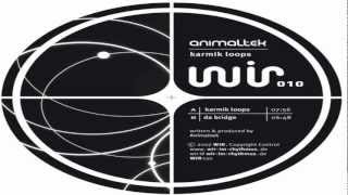 Animaltek - Karmikloops (Fiord Remix)