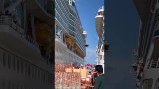 Viking vs Royal Caribbean 😱 #cruiseship #travel #vacation #viral #shorts #yt #ytshorts #cruisetour
