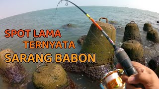Download lagu SUDAH LAMA NGGAK KESINI… TERNYATA SARANG IKAN BABON!! 😱 | RUTE SPOT MANCING SEMARANG. OPSICO CIPTA mp3
