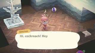 How Stitches react to cockroach in the house