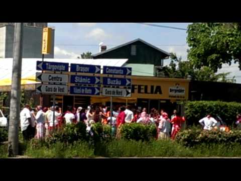 observatorulph.ro: Nunta cu manele in Malu Rosu