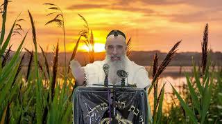 הרב מאיר דוד שמואלי - הדרך פתוחה למשיח
