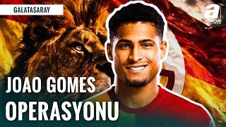 Galatasaray Joao Gomes İçin 40 Milyon Euro Teklif Etti