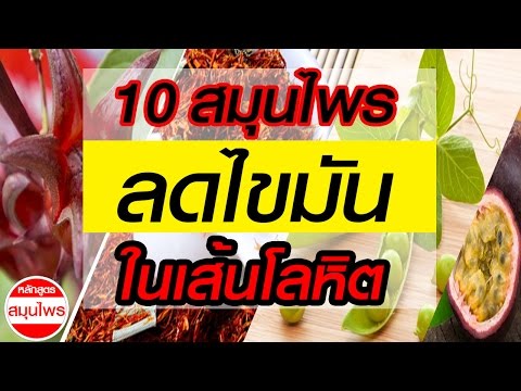 ธ อร์ราคาค้อน Barnaul เพิ่มขึ้นในสมาชิกจริง