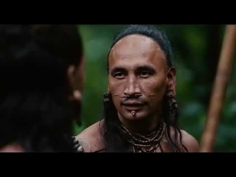 Af Somali Acalapyto American