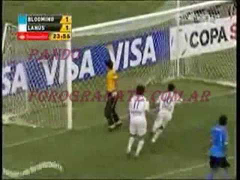 lanus  4 blooming  1