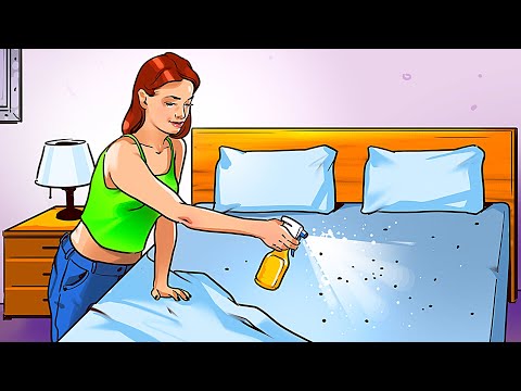 YouTube video about: How do you treat fleas on a dog?