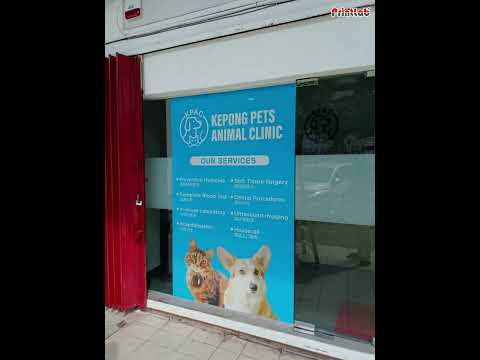 Window Sticker Installation