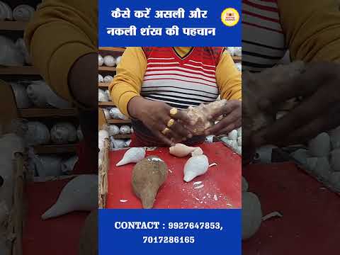 ASLI NAKLI SHANKH KI PAHCHAN KAISE KARE असली नकली शंख की पहचान कैसे करें #haridwar #astrology