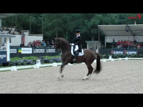 Vitalis vinder af "Stallion of the year" 2016