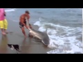 Man wrestles 7ft shark on beach 