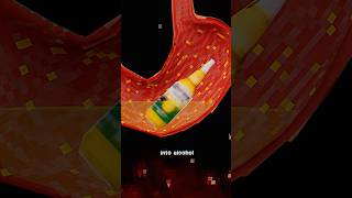 Download lagu He Can Get Drunk At Will mp3