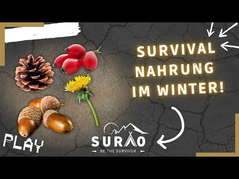 SURVIVAL NAHRUNG IM WINTER! | #1 Geschenke der Bäume | Survivaltipps
