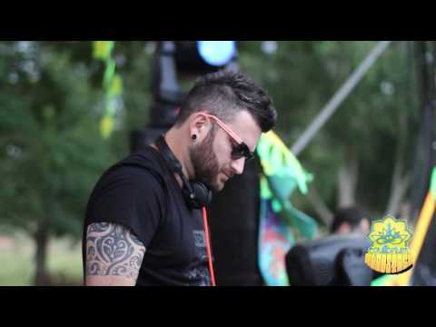 Equilibrium Woodstock - Vibe Tribe