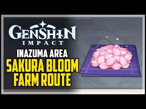 Sakura Bloom Locations Genshin Impact