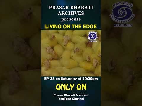 Silk Industry, Waste, Consumers & Deforestation | Living on the Edge | Ep. 23 #shorts