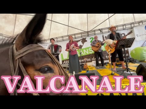 Un po’ di folklore a Valcanale e vi faccio tribolare🤣con il video della transumanza a caricare 🤣🤣
