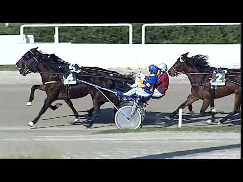 Napoli Trotto 23/12/2022 - 1ª corsa