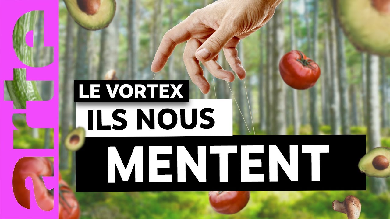 Et pourtant on les croit : les CHARLATANS du web @LExtracteur  @Modiie I ARTE