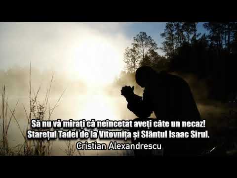Nu Va Mirati Ca Neincetat Aveti Cate Un Necaz! Staretul Tadei De La Vitovnita Si Sfantul Isaac Sirul