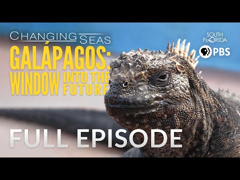 "Galápagos: Windows into the Future" Full episode