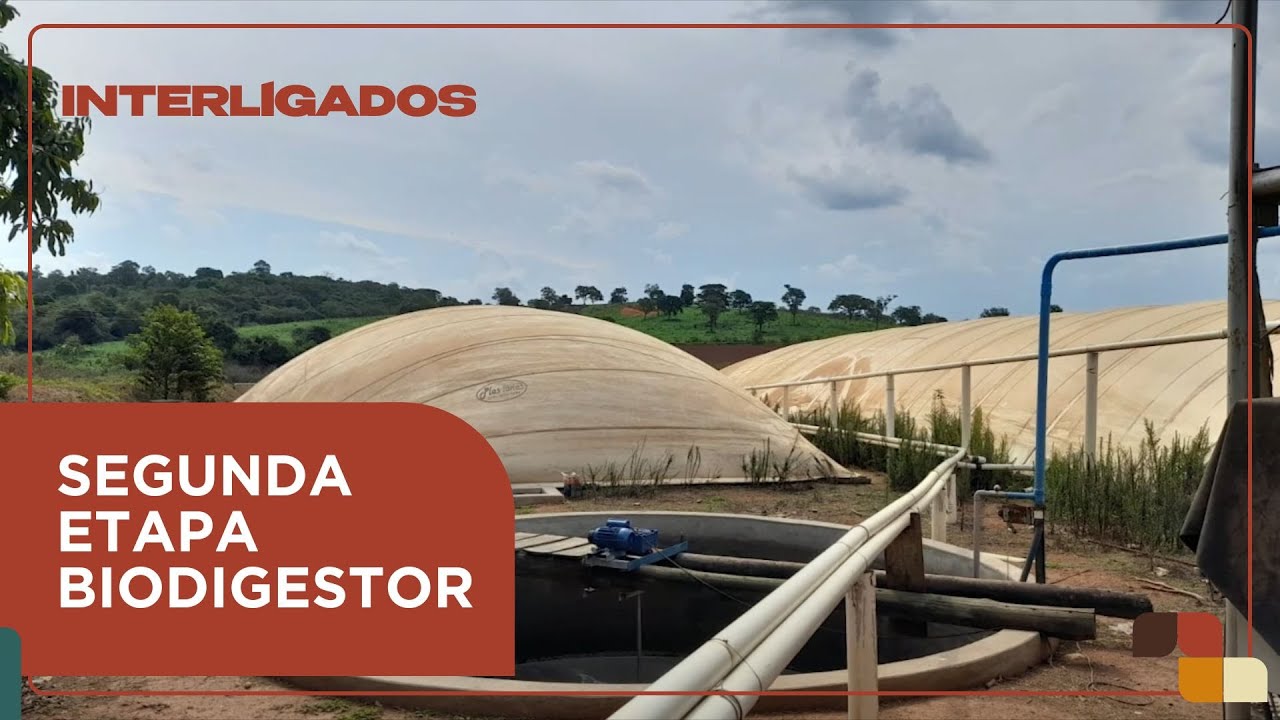 Projeto de biodigestor: descubra o modelo ideal e o tempo necessário