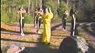 Raven Seymone Childs Heart Music Video Directed by Meshell Shumate Produced by Eric Morton.wmv