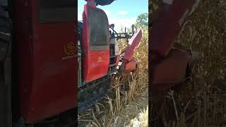 Download lagu yanmar aw70 motong jagung mp3 Download lagu yanmar aw70 motong jagung mp3