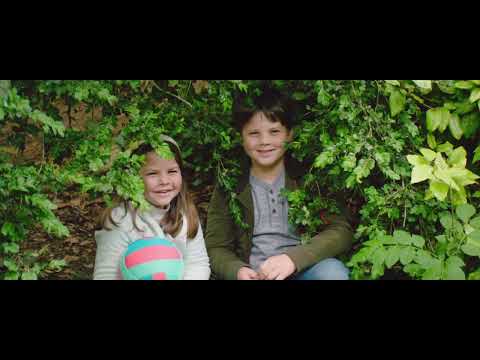 Una relazione passeggera I Trailer italiano