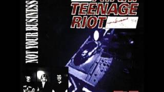 Atari Teenage Riot - Not Your Business E.P. (Vinyl Rip)