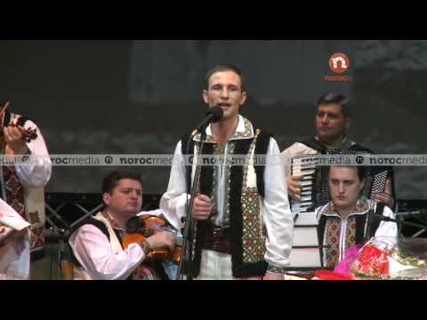 Ion Paladi   La fântâna lui Gheorghiţă