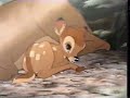 Bambi Special Edition 2005 DVD Teaser