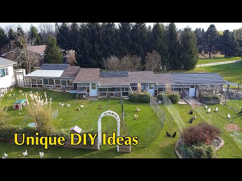 How to Build the Best All-in-One Chicken Coop on a Budget + Winterizing Tips & Organic Farm Work