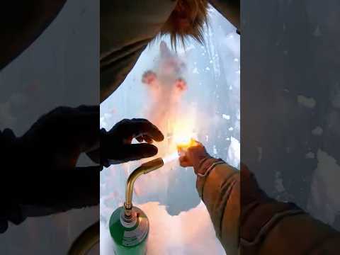 ❄️ Cat Frozen Solid in Ice — Rescuer Uses Torch & Treks Snow #SiuMeowStudio #catrescue #winterrescue