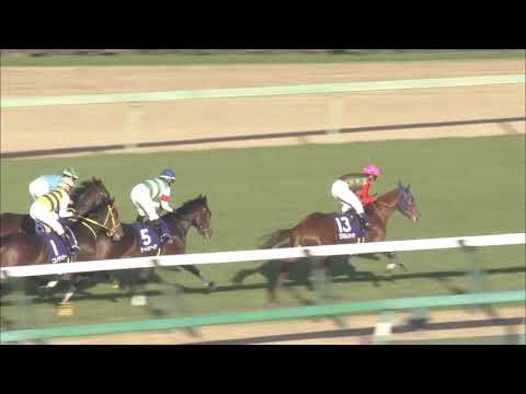 2018 Hopeful Stakes (G1)